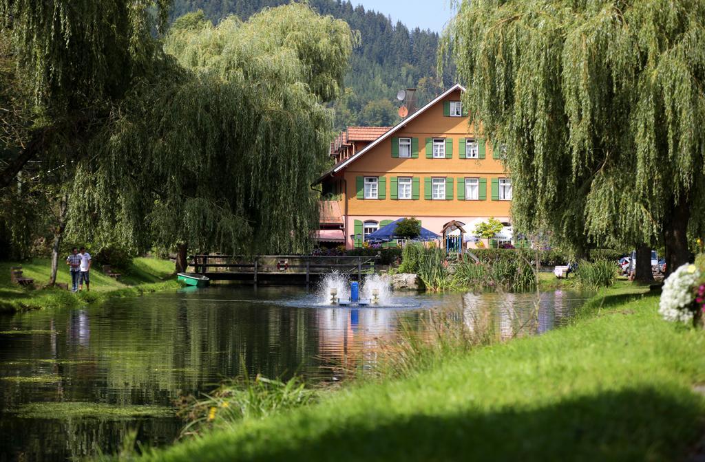 Hotel Zur Alten Muehle Нойенбург Екстериор снимка